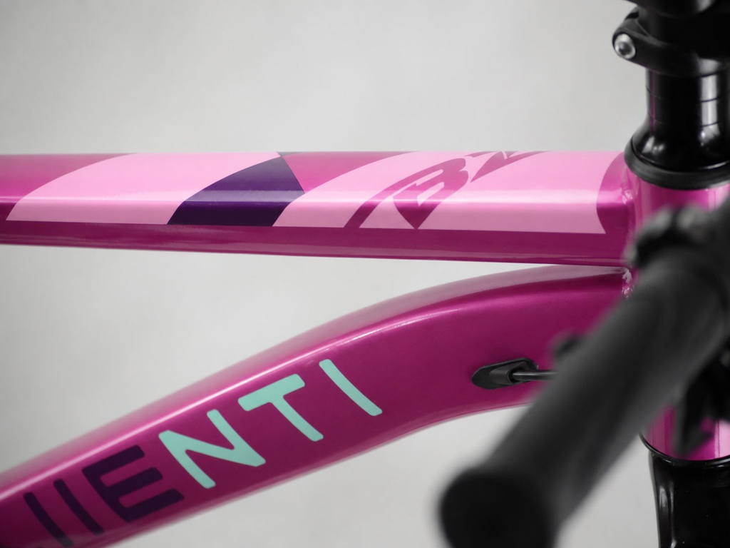 BICI 26" MUJER ACERO C/SUSP ROSA 1x7 SHIMANO T-14