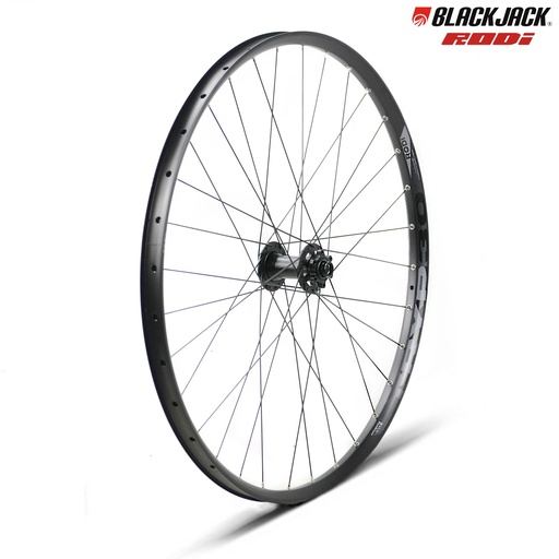 [15907D] RUEDA DELANTERA 29" BLACK JACK/RODI EJE 15X110MM, DISCO 6T 32H