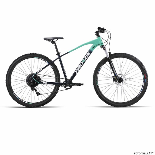 [37249M] BICI 29" ALUM ANTRAC/MENTA "PROWEN" PRO300 11VEL T-17